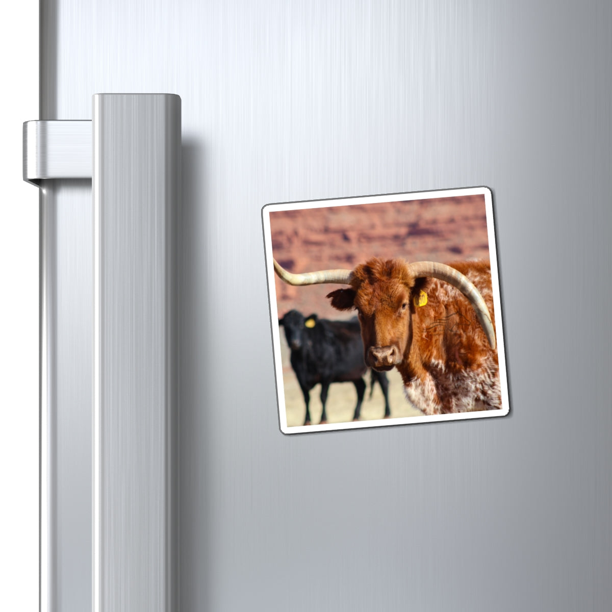 Mismatch Long Horn Magnets