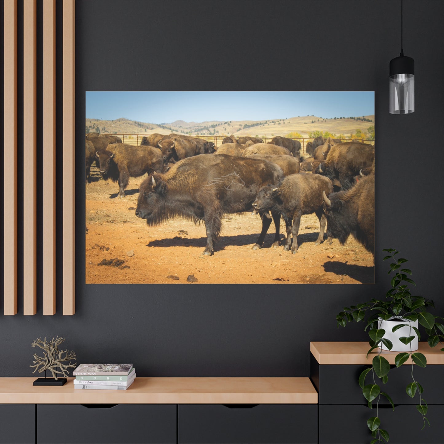 Momma and Baby Buffalo Canvas