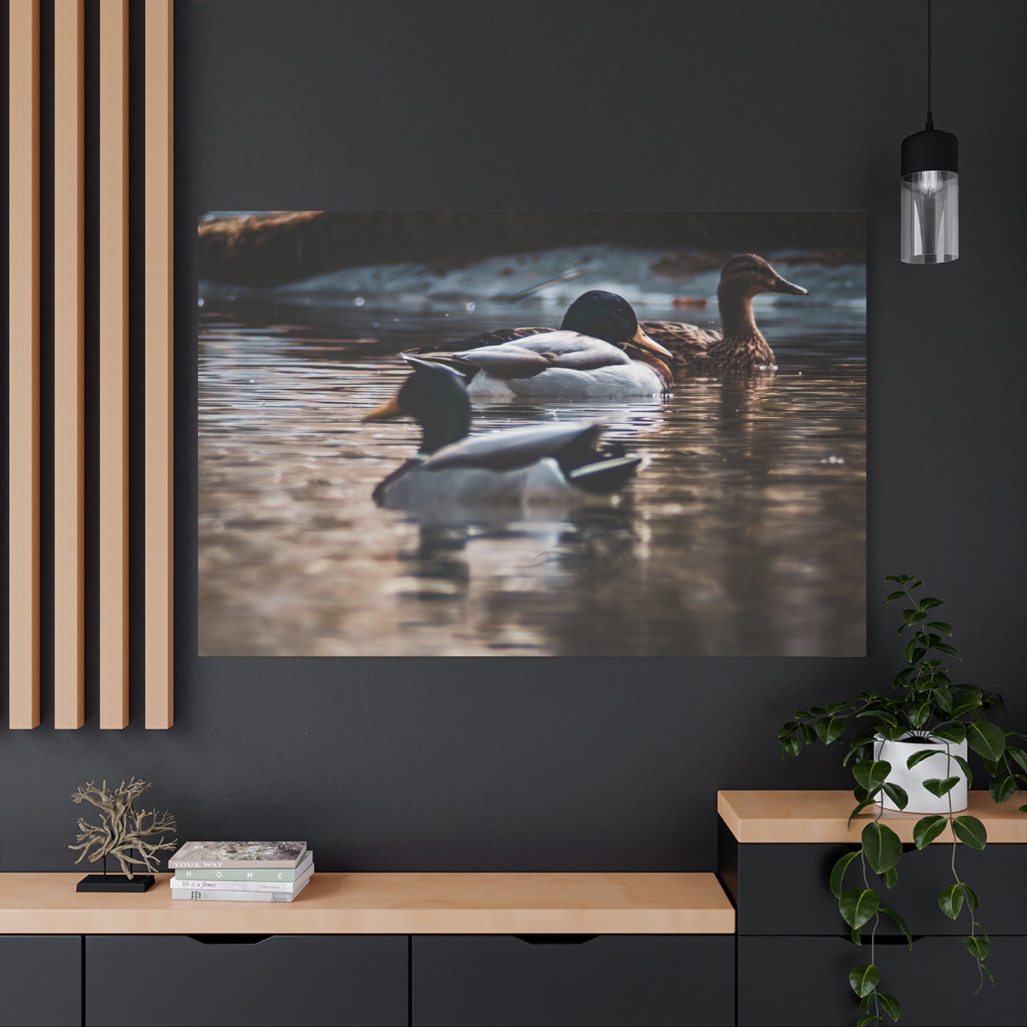 Mallard Ducks Canvas