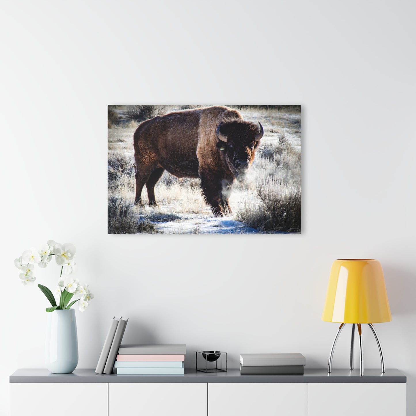 Early Morning Buffalo Acrylic
