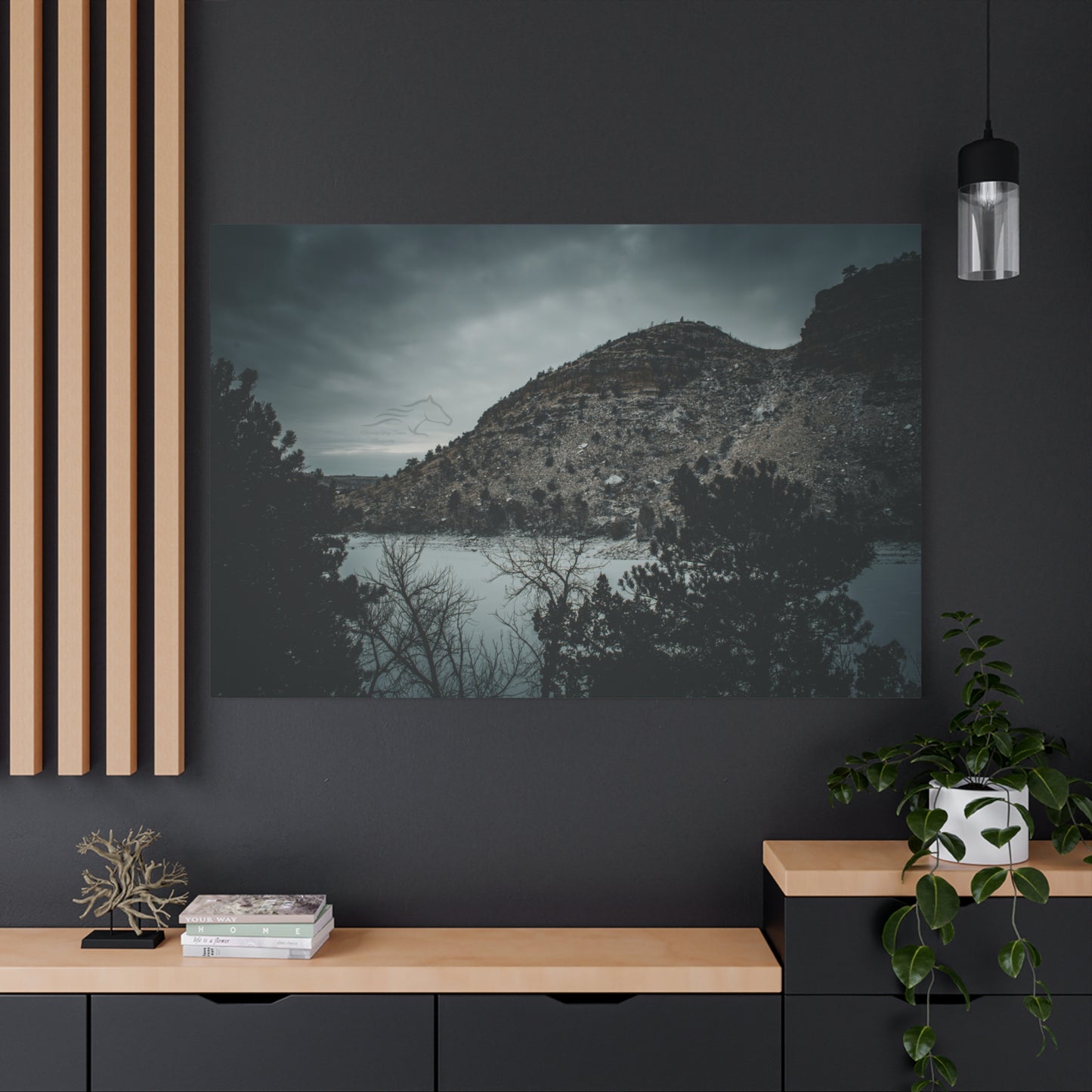 Moody Landscape Canvas