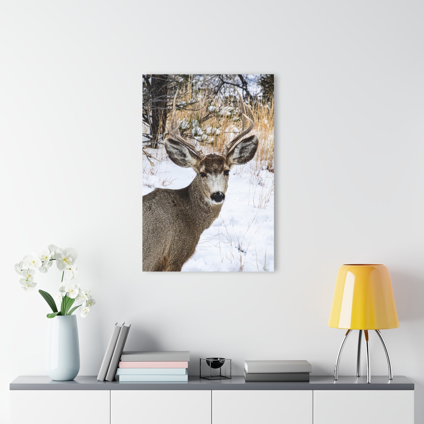 Deer Antlers in February Acrylic