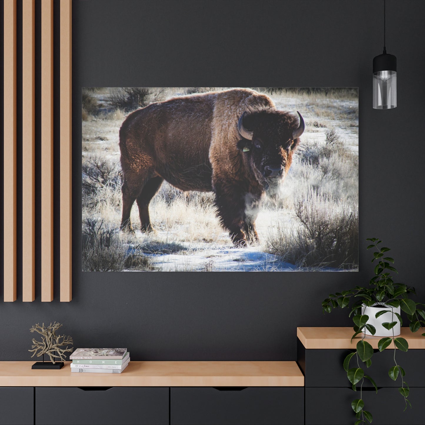 Early Morning Buffalo Canvas