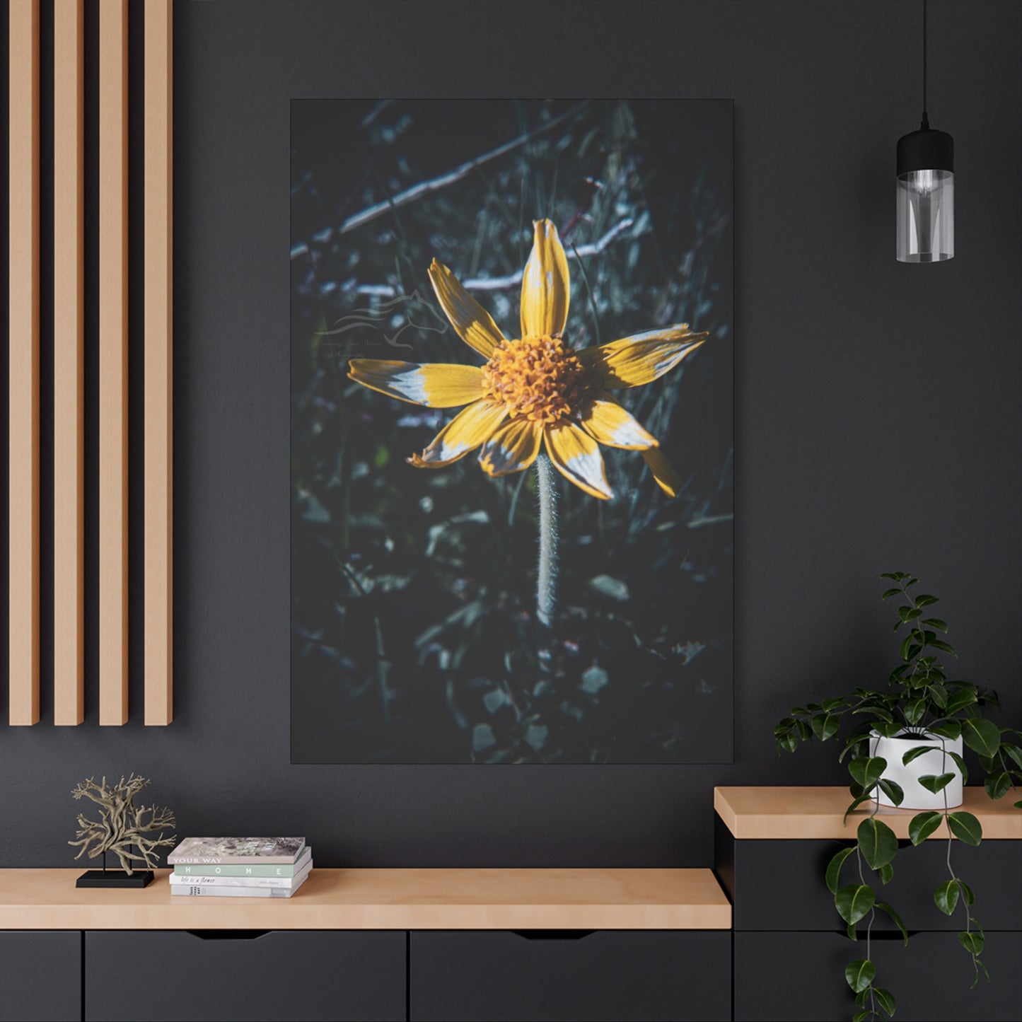 Parish's Goldeneye Canvas