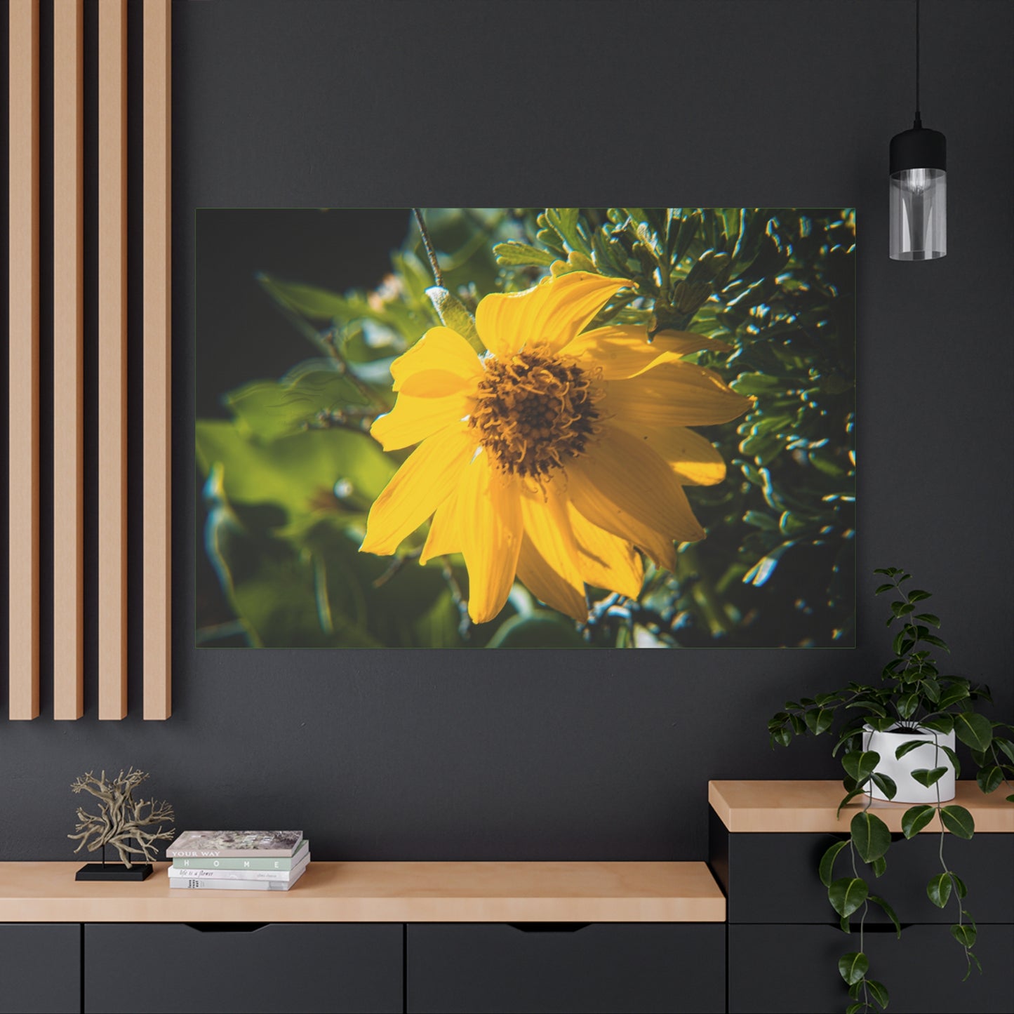 Arrowleaf Balsamroot Canvas