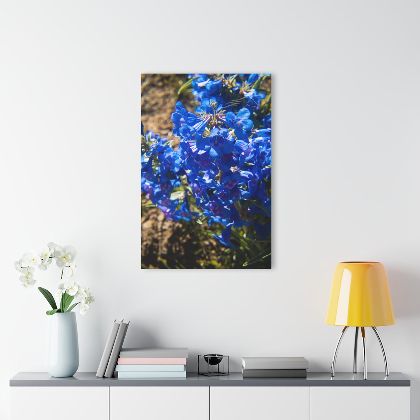 Rocky Mountain Beardtongue Acrylic