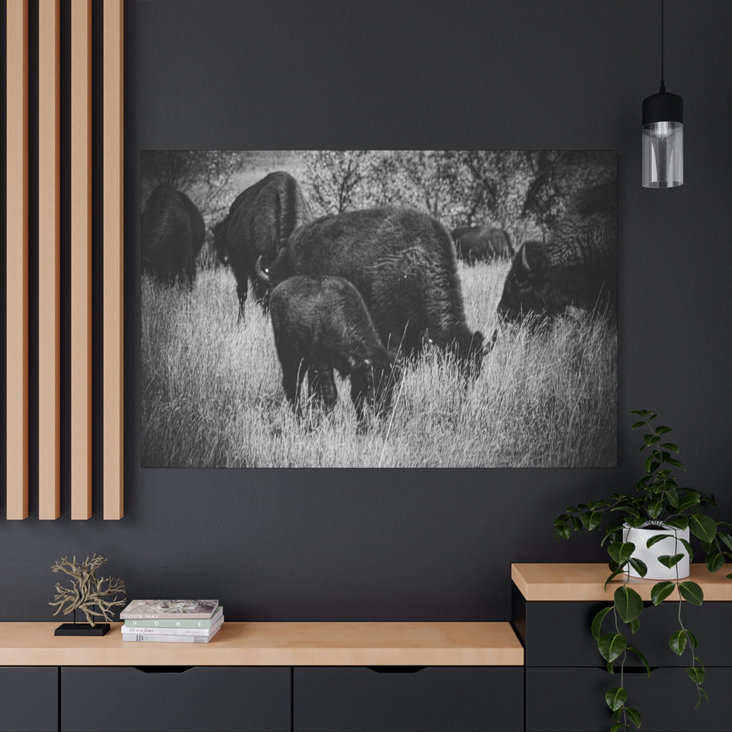 Black and White Buffalo Canvas