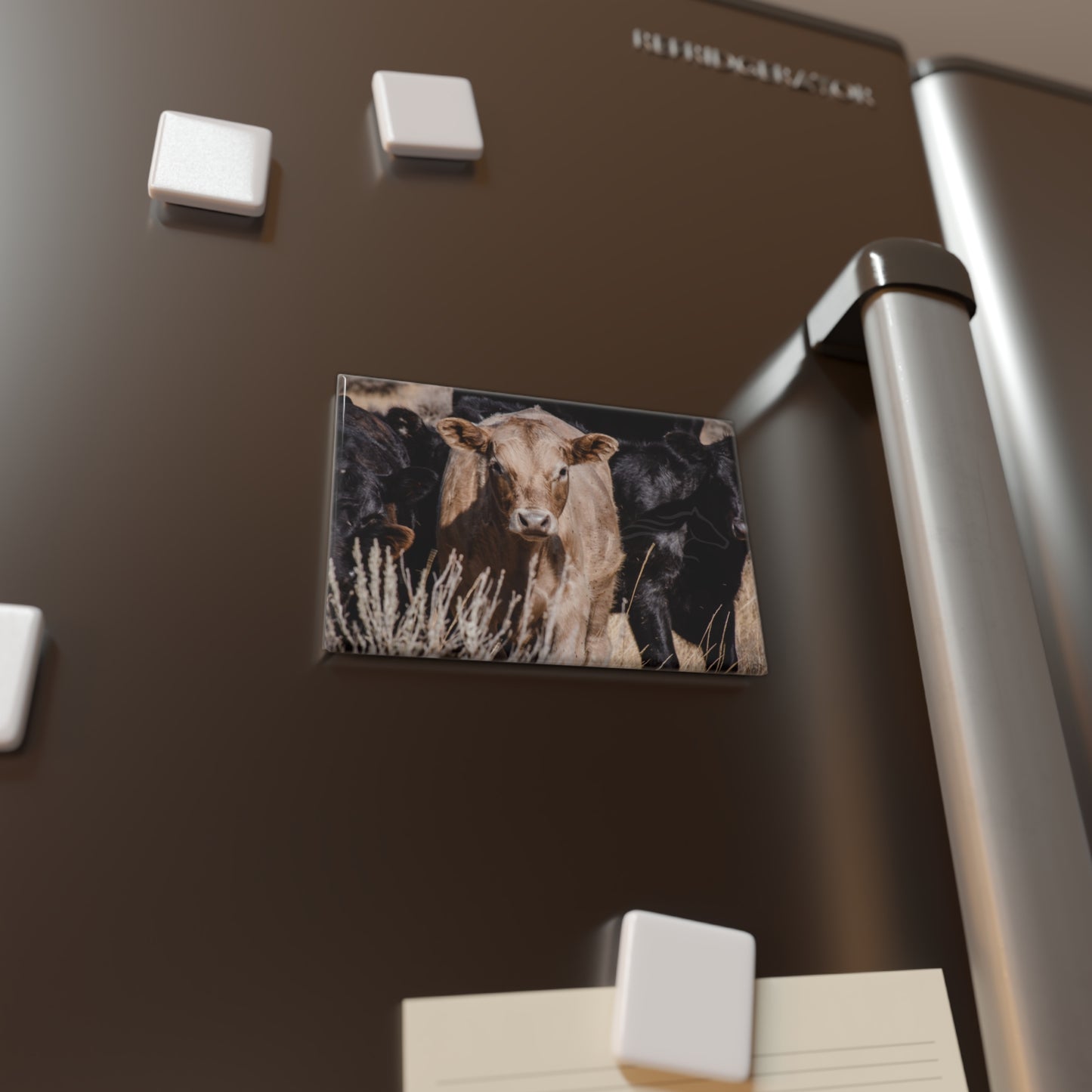 Baby Blonde Calf Magnet