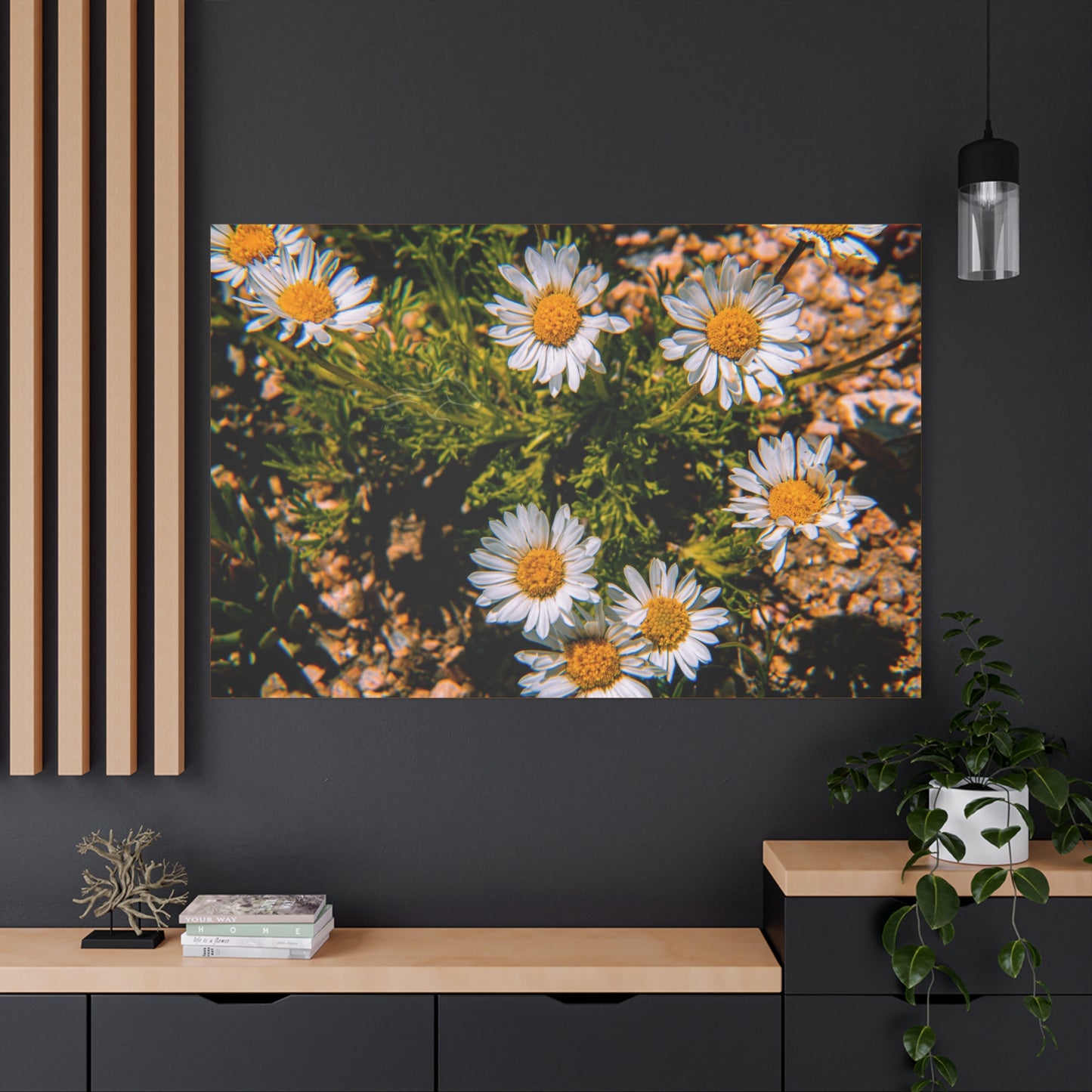 Wild Daisy Canvas