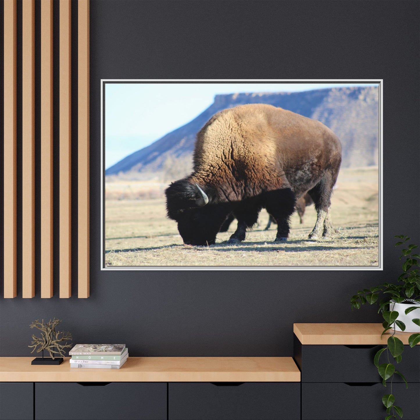 Big Daddy Buffalo Framed Canvas