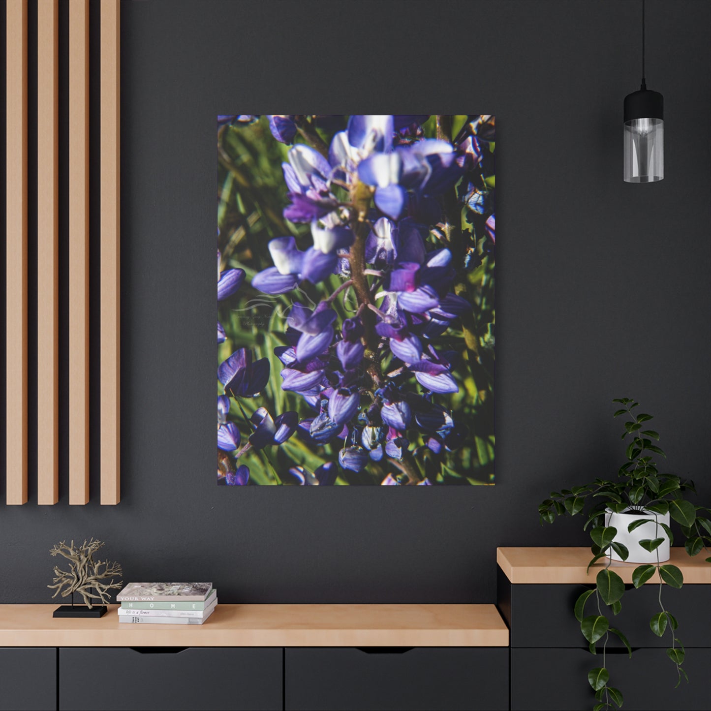 Arctic Lupine Canvas