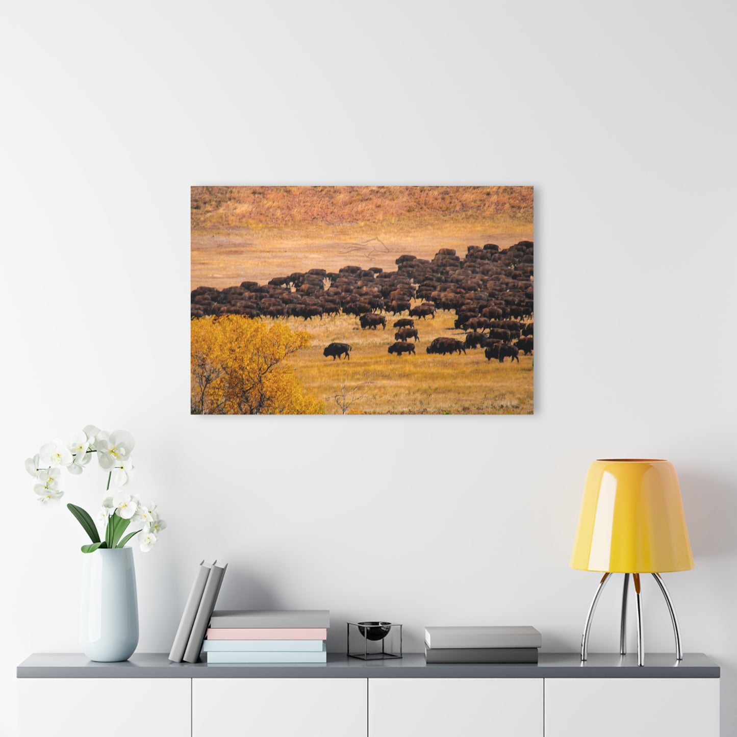 Buffalo all Gathered Acrylic