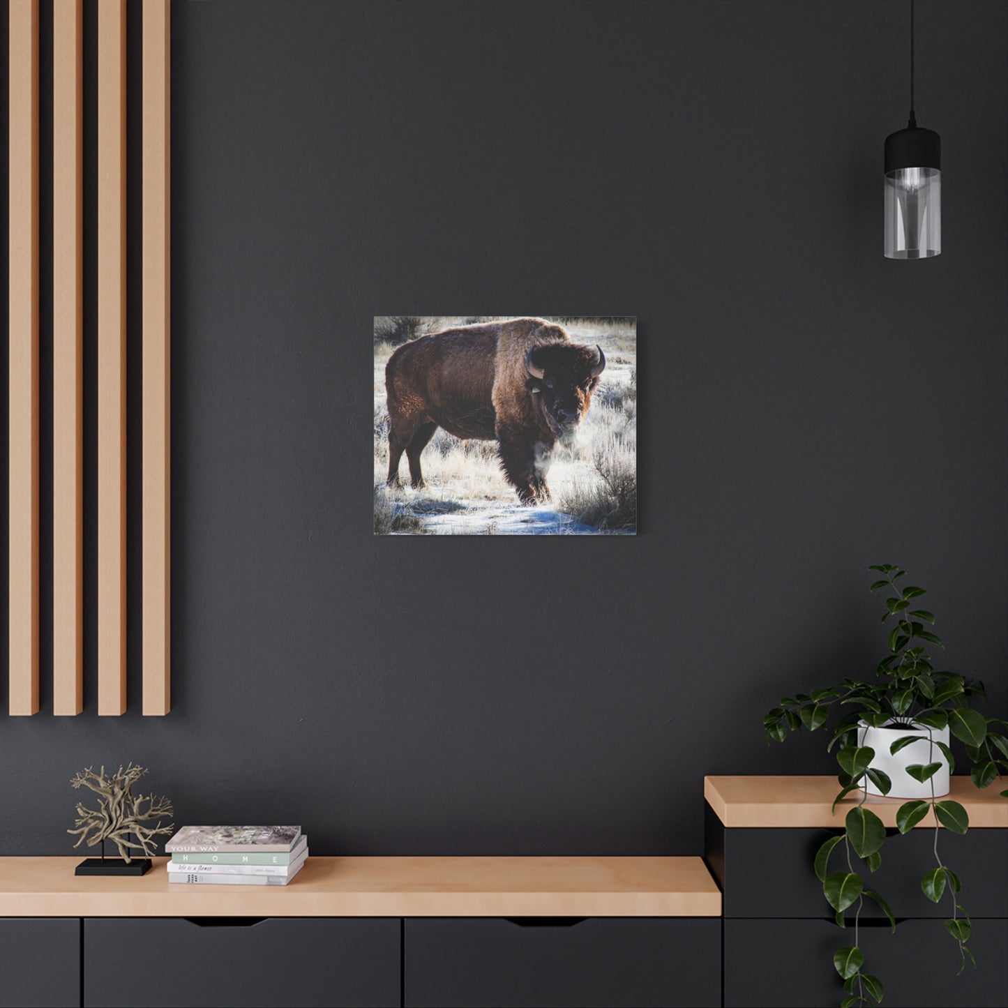Early Morning Buffalo Canvas