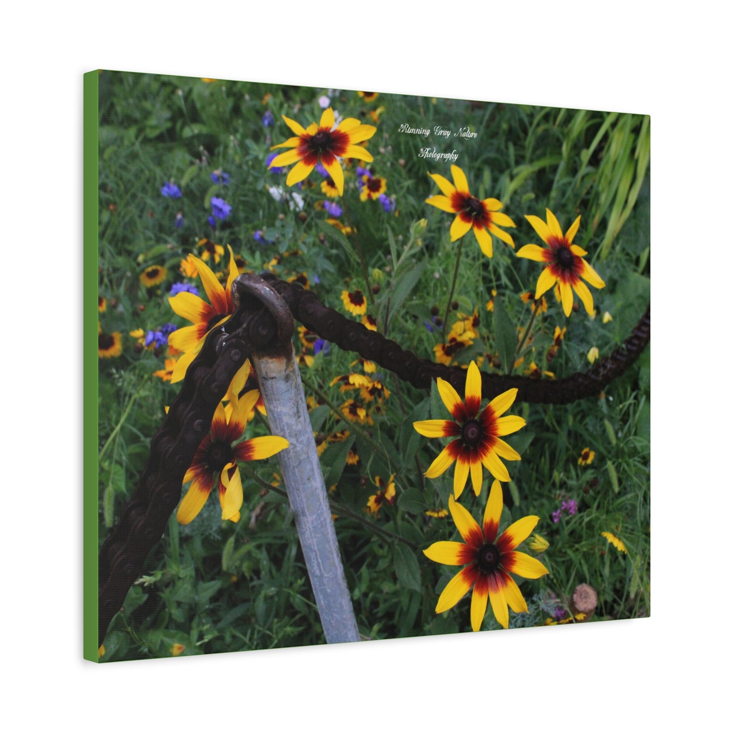 Red and Yellow Sunflowers Matte Canvas, Stretched, 1.25"