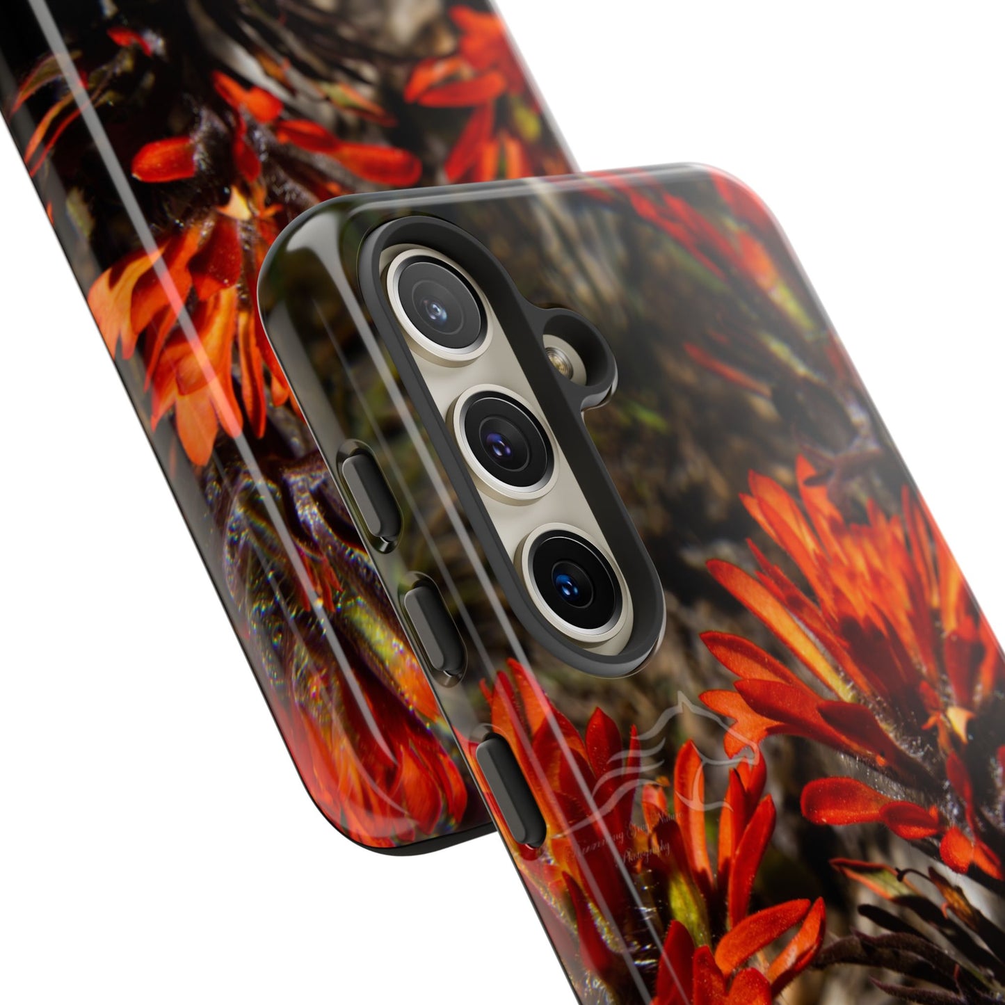 Vibrant Indian Paint Bush Tough Cases,