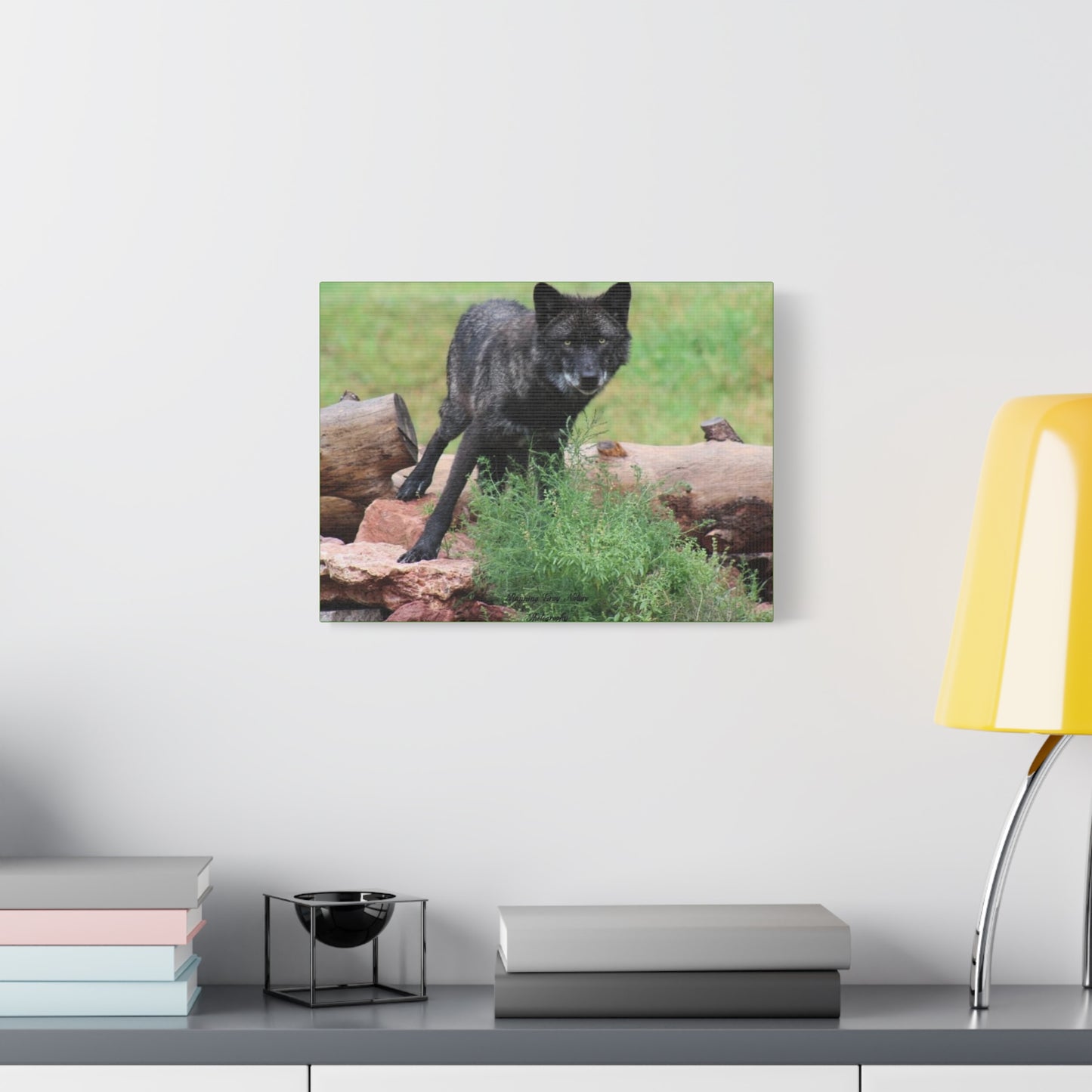 Black Wolf Matte Canvas, Stretched, 1.25"