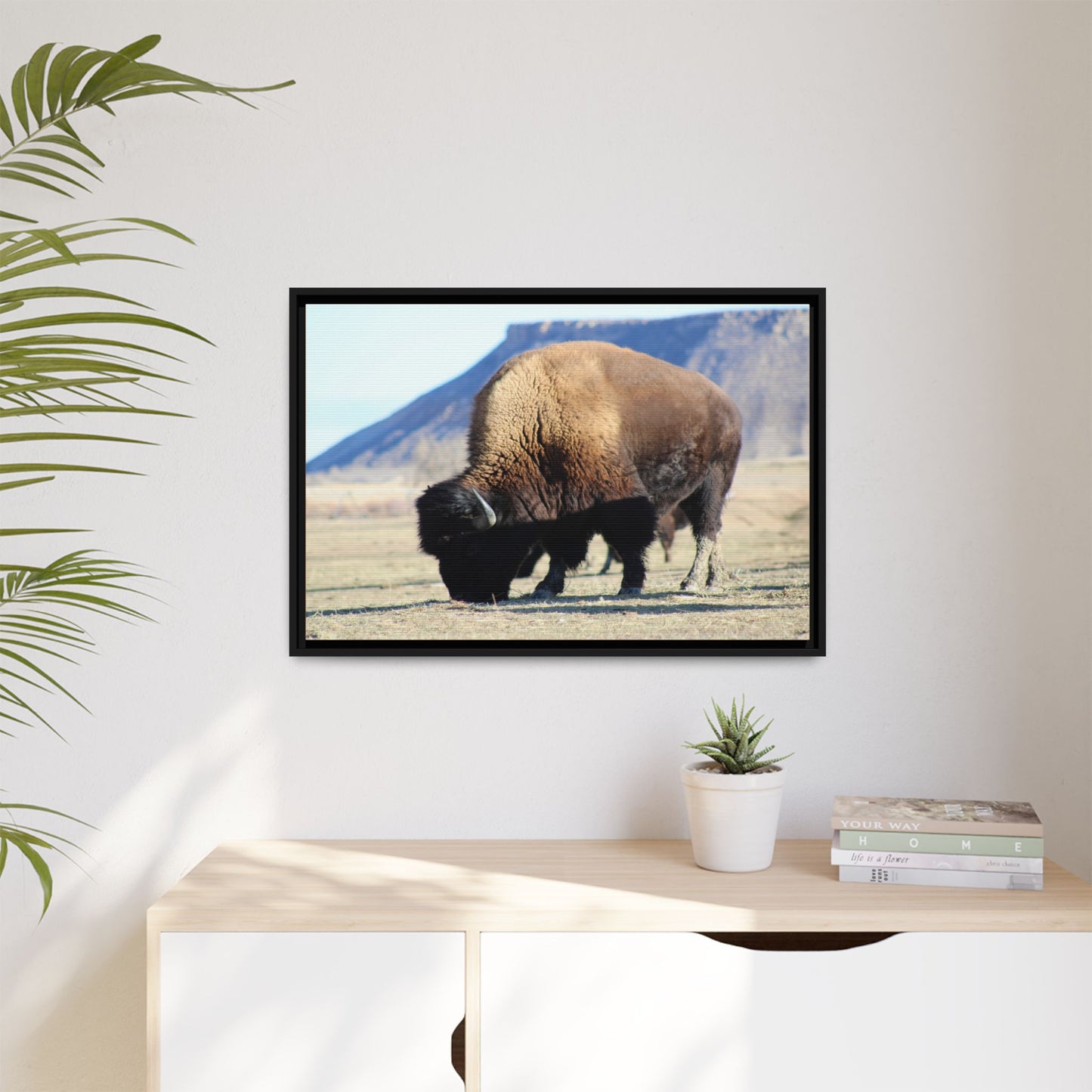Big Daddy Buffalo Framed Canvas