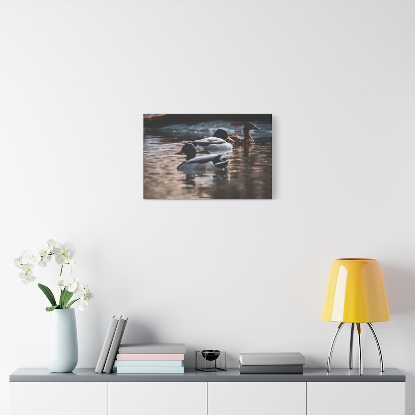 Mallard Ducks Canvas