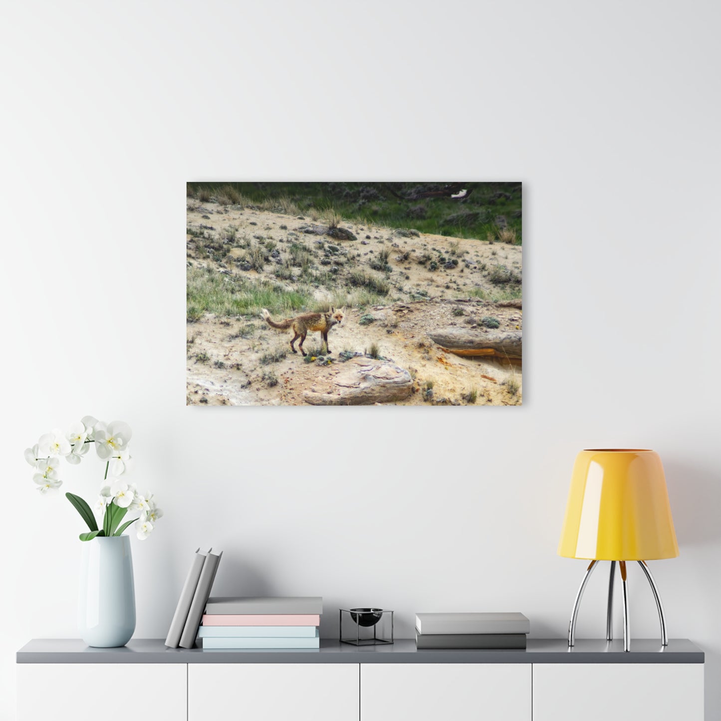 Swift Fox and an Eagle