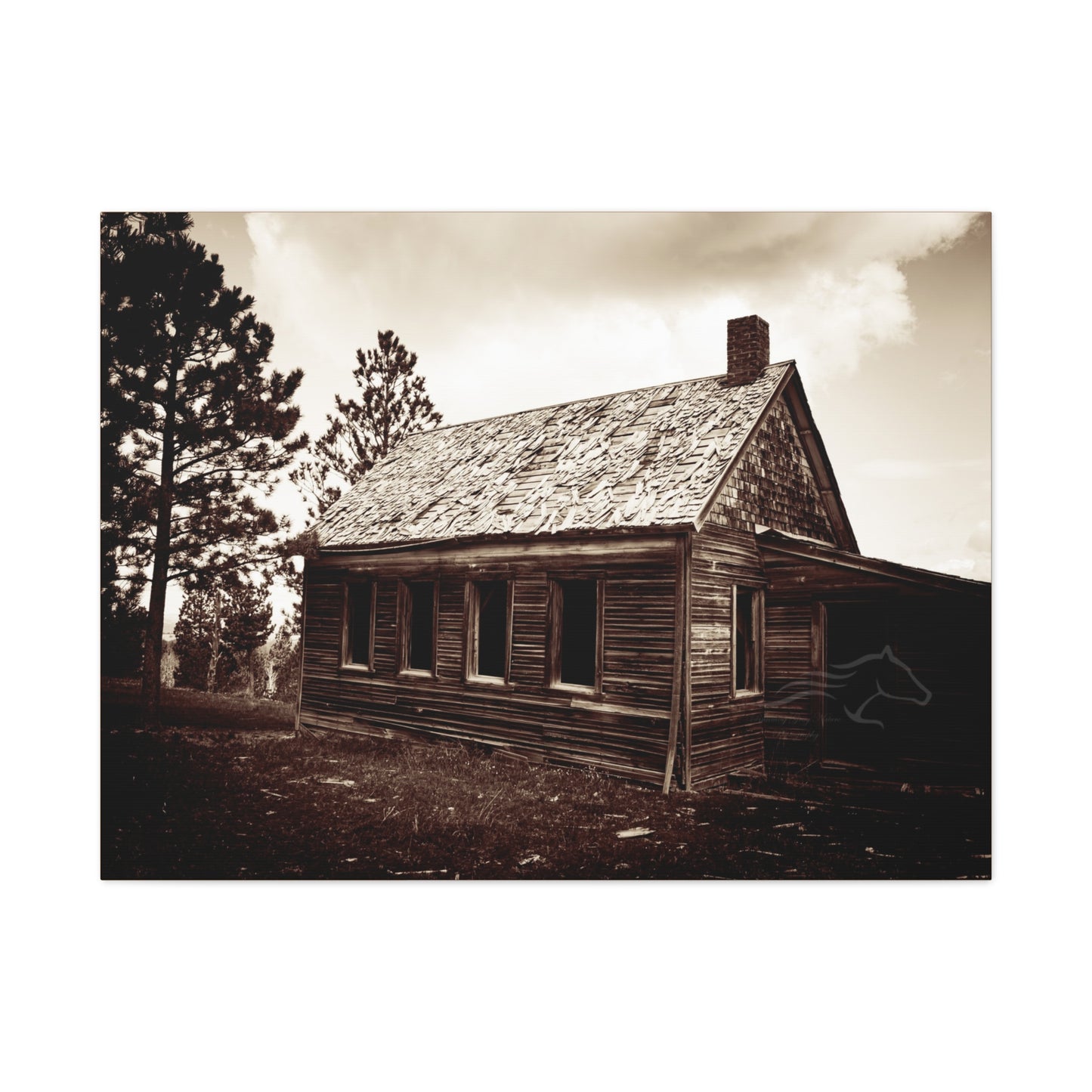 Rustic Bunk House Canvas