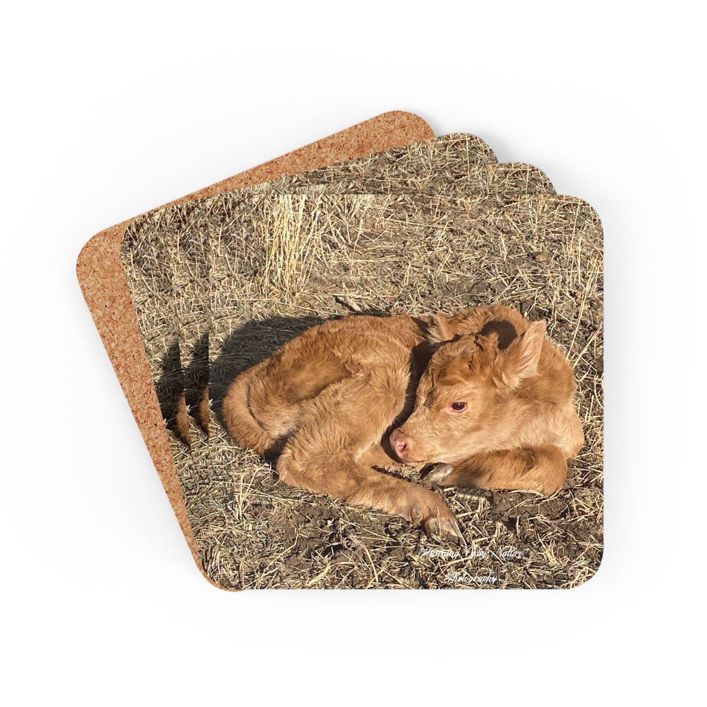 Baby Calf Coasters