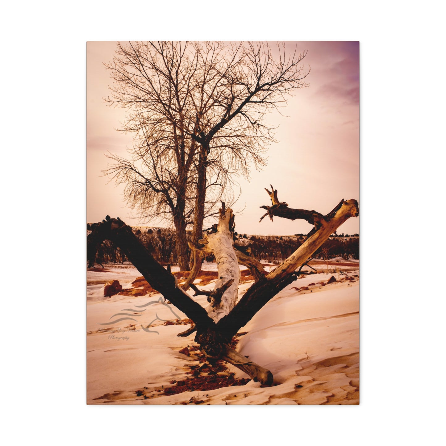 Rustic Landscape Canvas