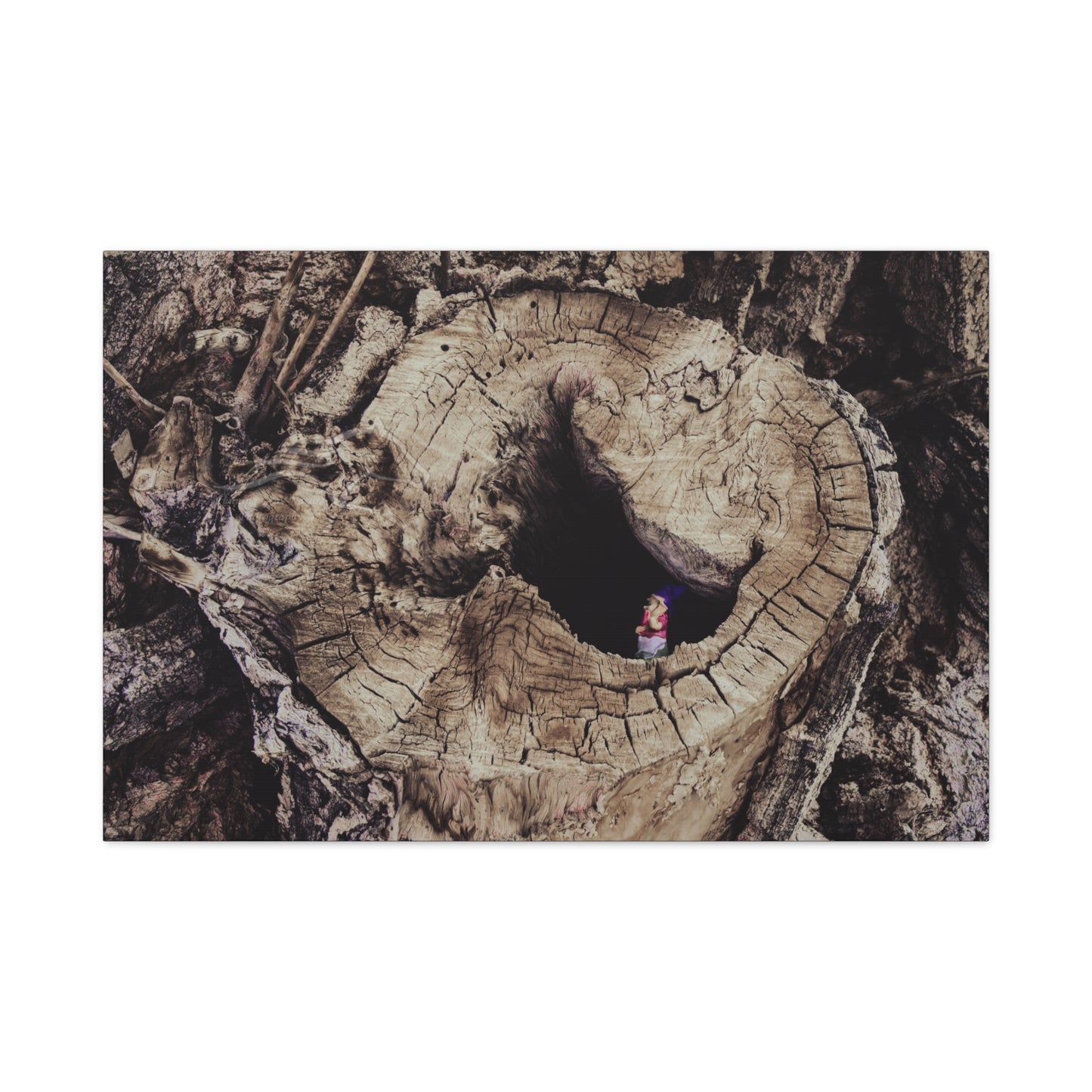 Fairy in a Tree Canvas