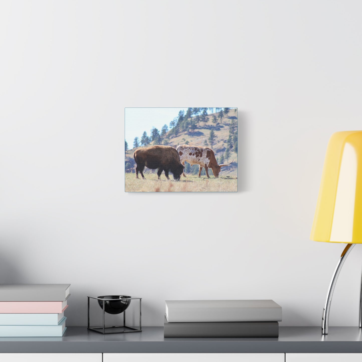Long Horn and Buffalo Canvas
