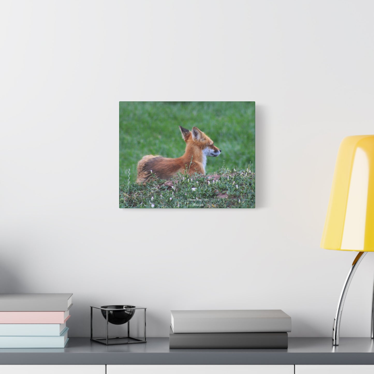 Red Tail Fox Matte Canvas, Stretched, 1.25"