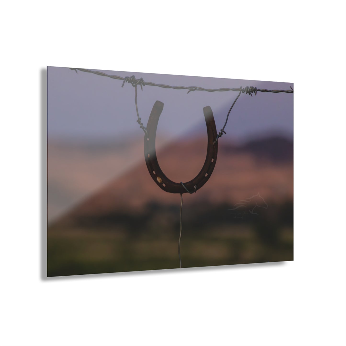 Rustic Horseshoe Acrylic