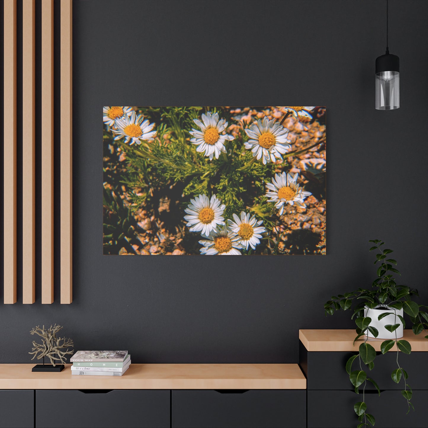 Wild Daisy Canvas