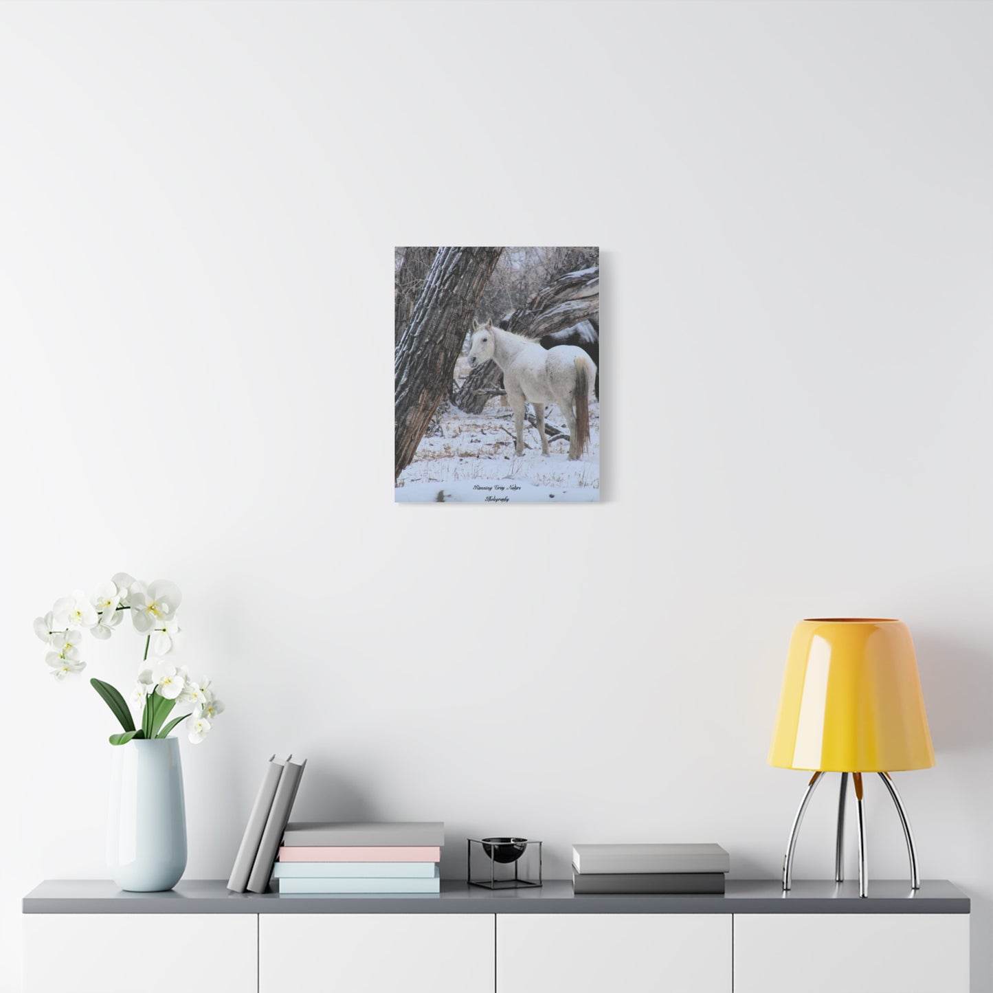 Winter White Horse Matte Canvas, Stretched, 1.25"