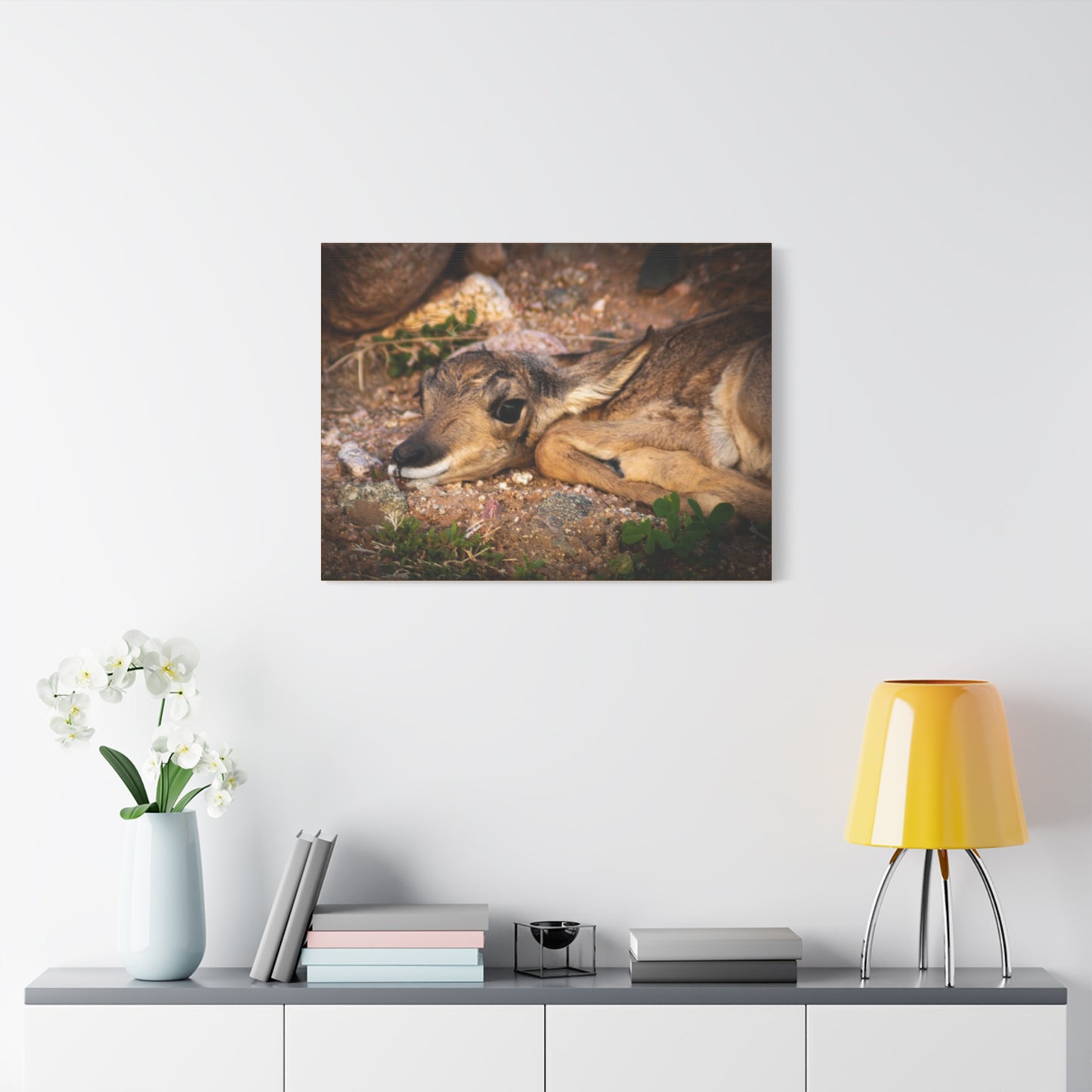 Baby Antelope Canvas