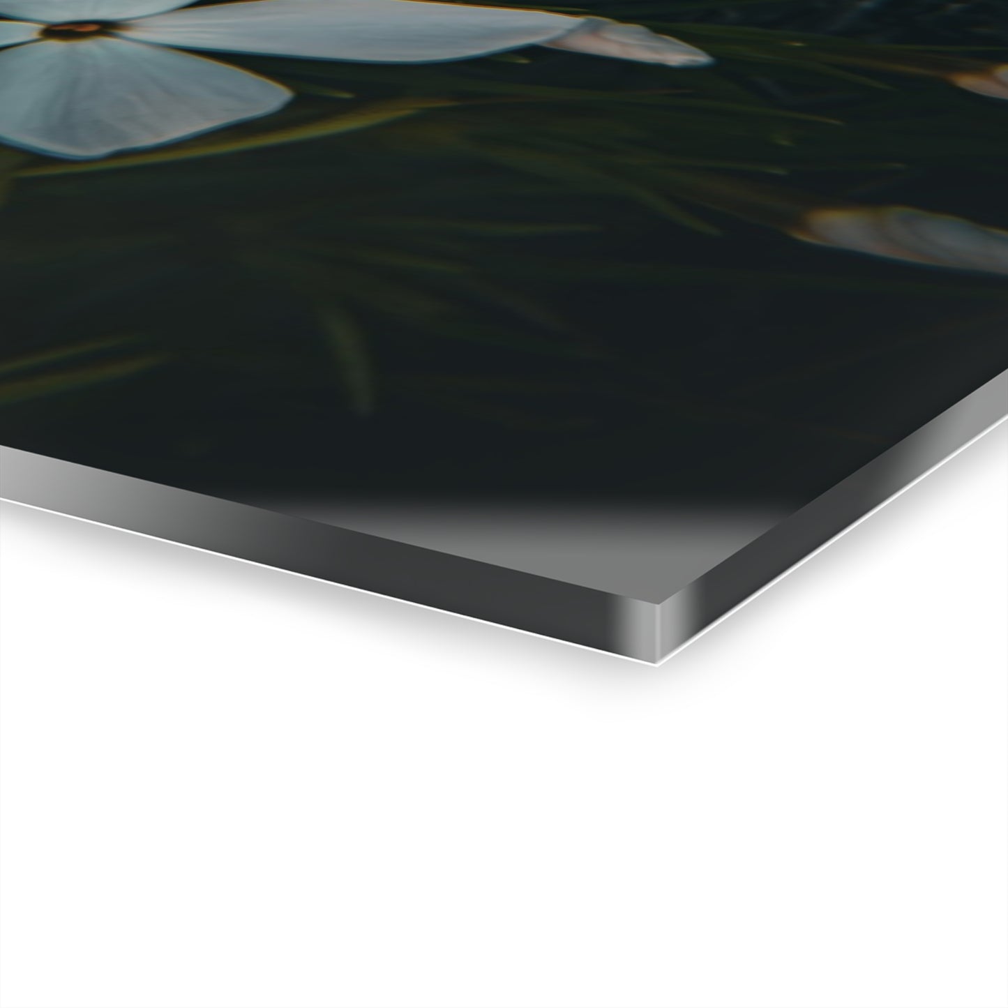 Rock Jasmine Acrylic