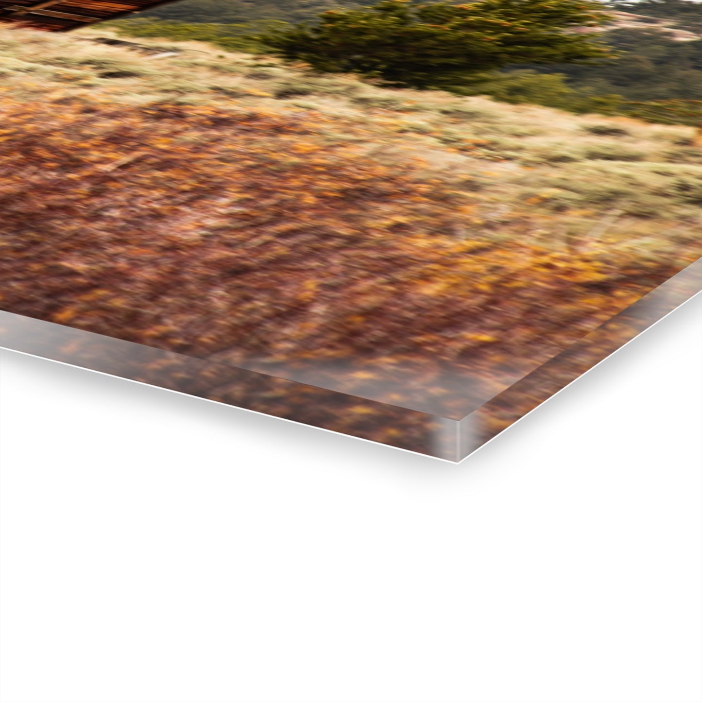 Rustic Landscape Acrylic