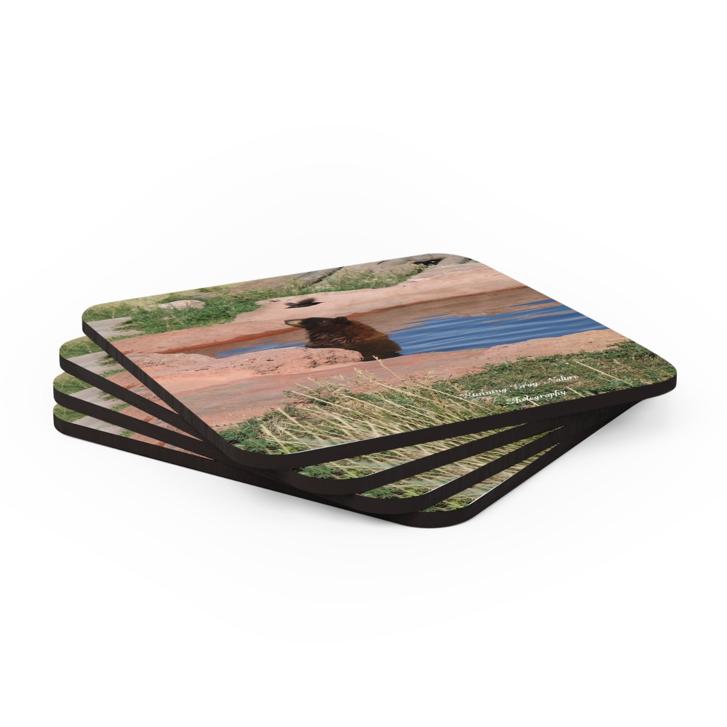 Bird Watching Coaster