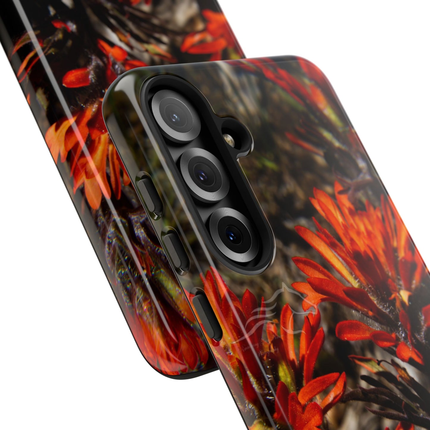 Vibrant Indian Paint Bush Tough Cases,