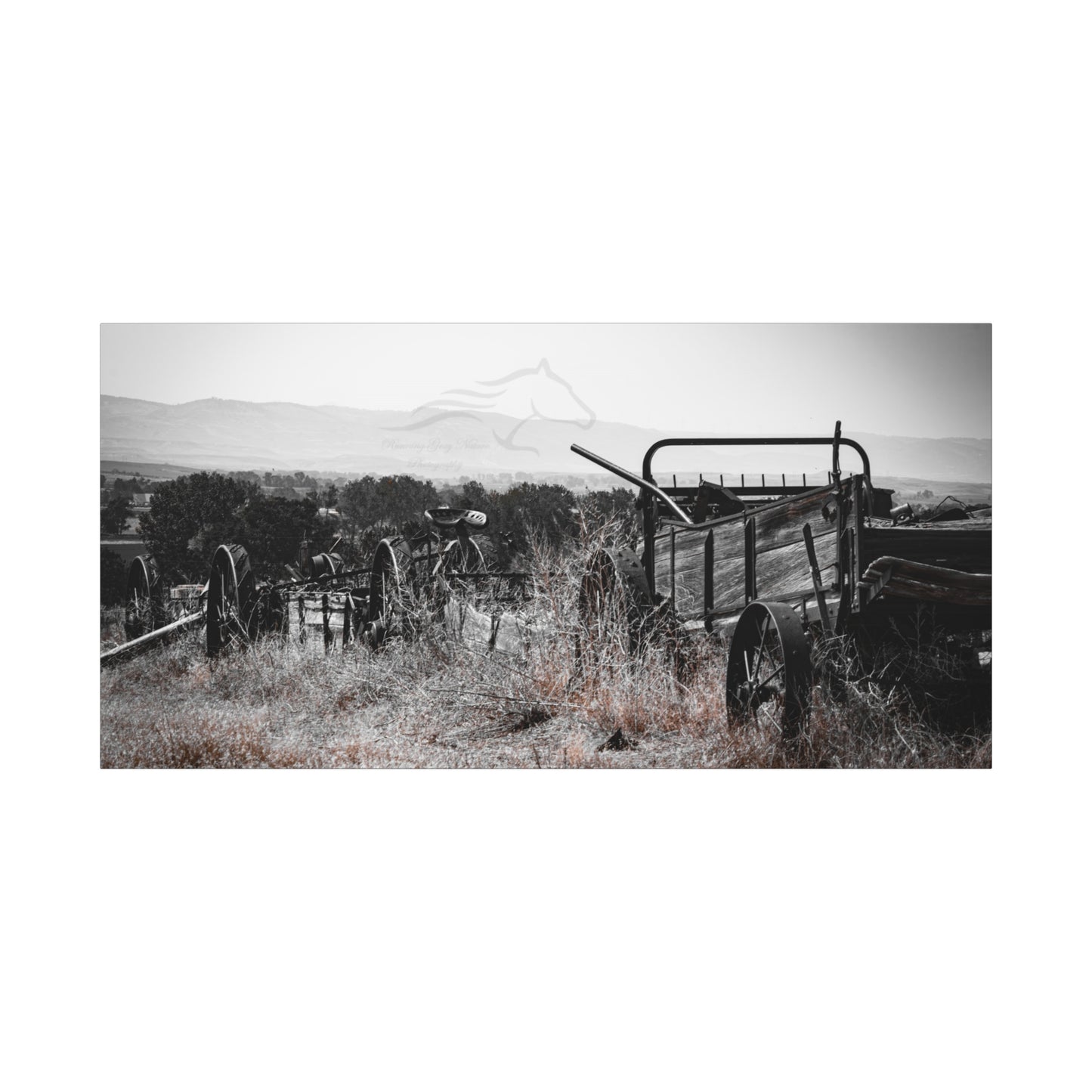 Rustic Black and White Wagon Canvas