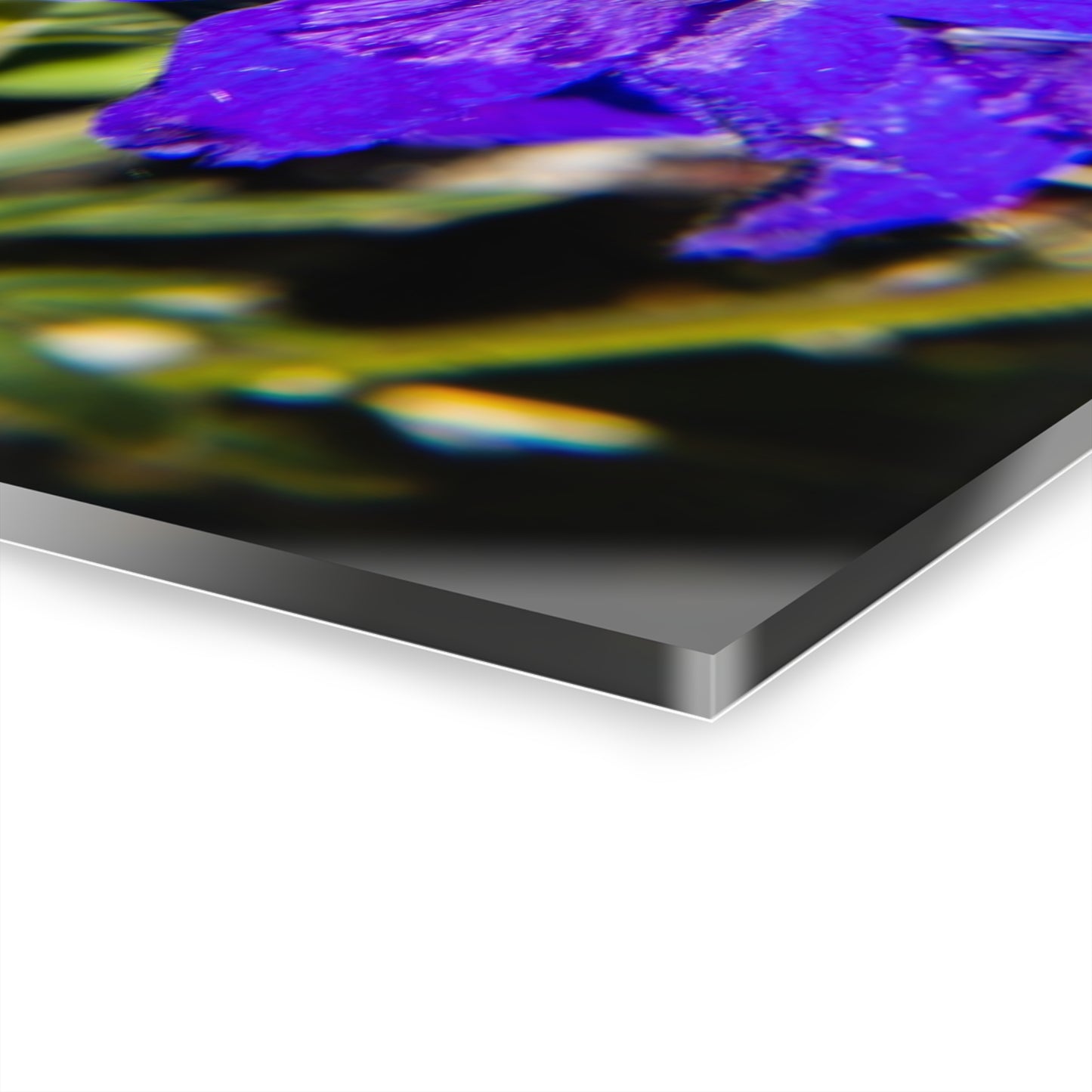 Royal Larkspar Acrylic