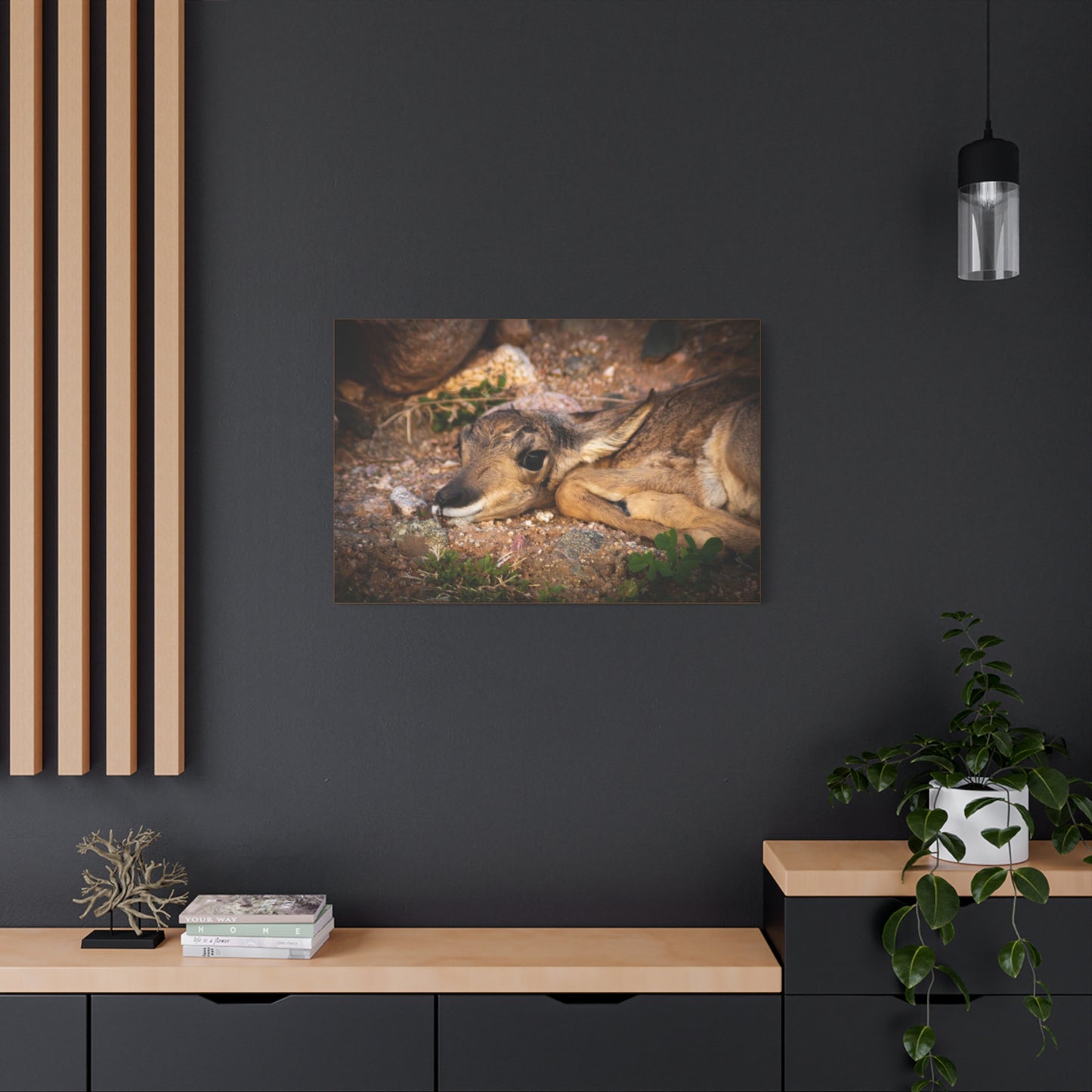 Baby Antelope Canvas