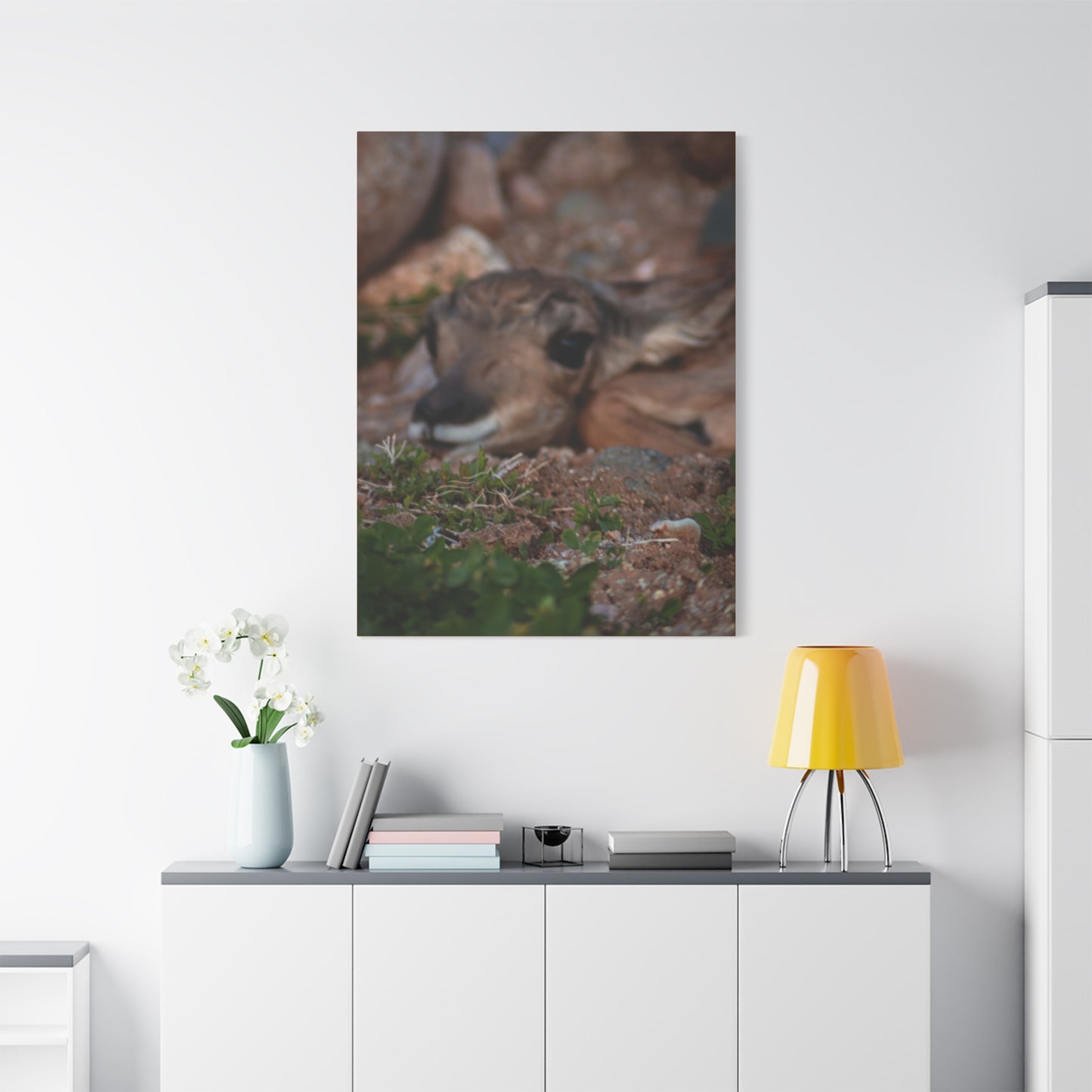 Gentle Antelope Fawn Canvas