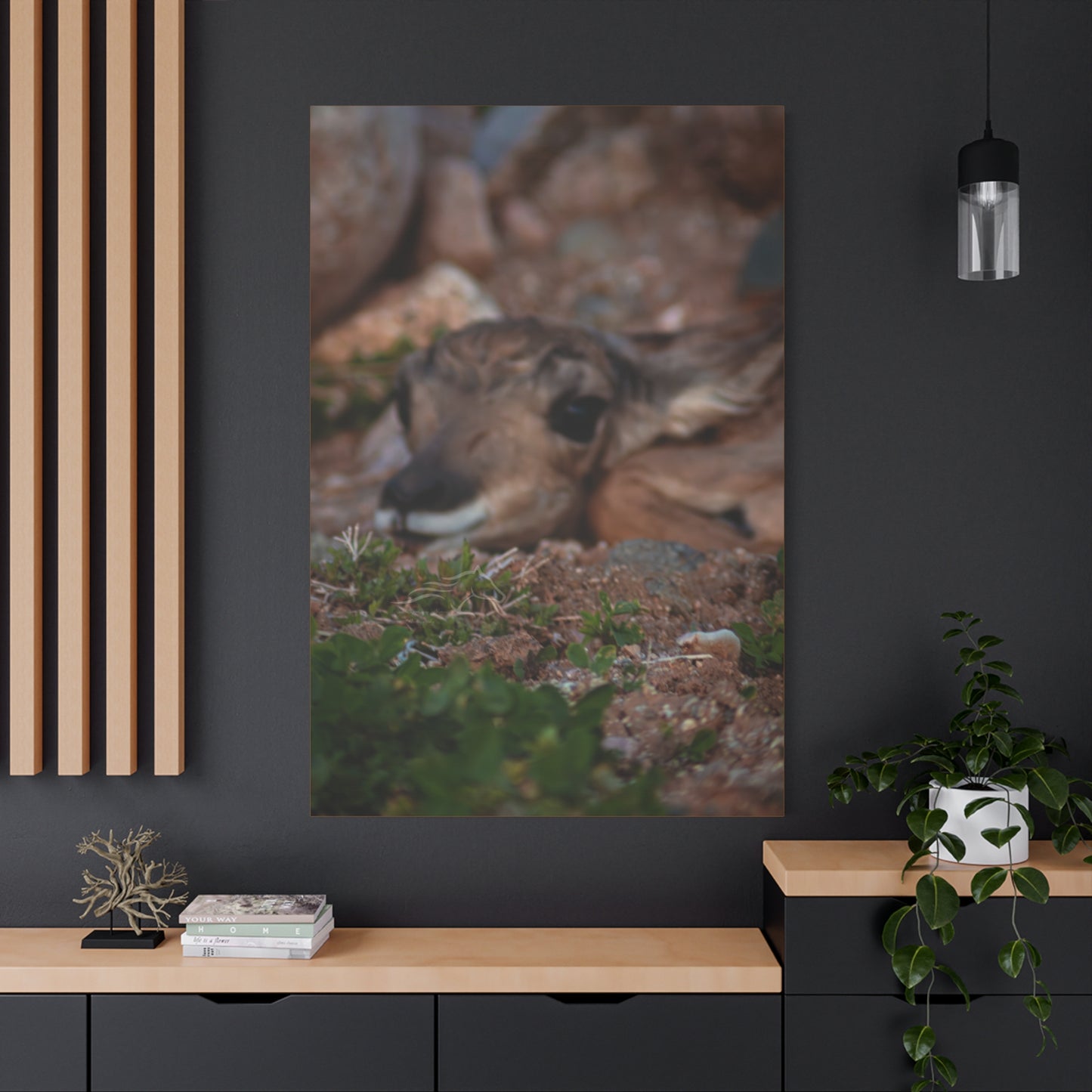 Gentle Antelope Fawn Canvas