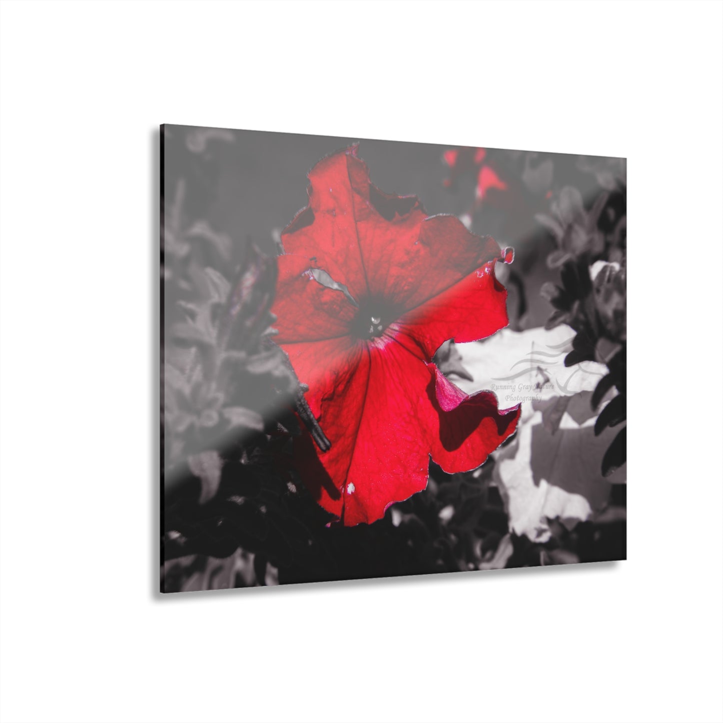 Black and Red Flower Acrylic