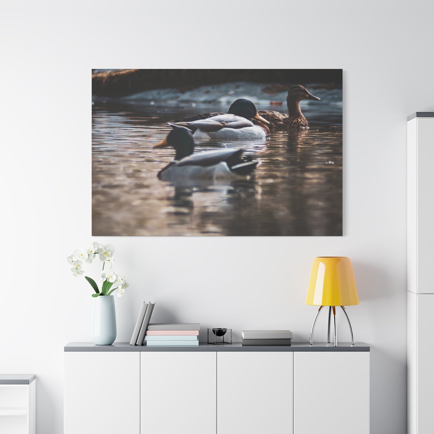 Mallard Ducks Canvas