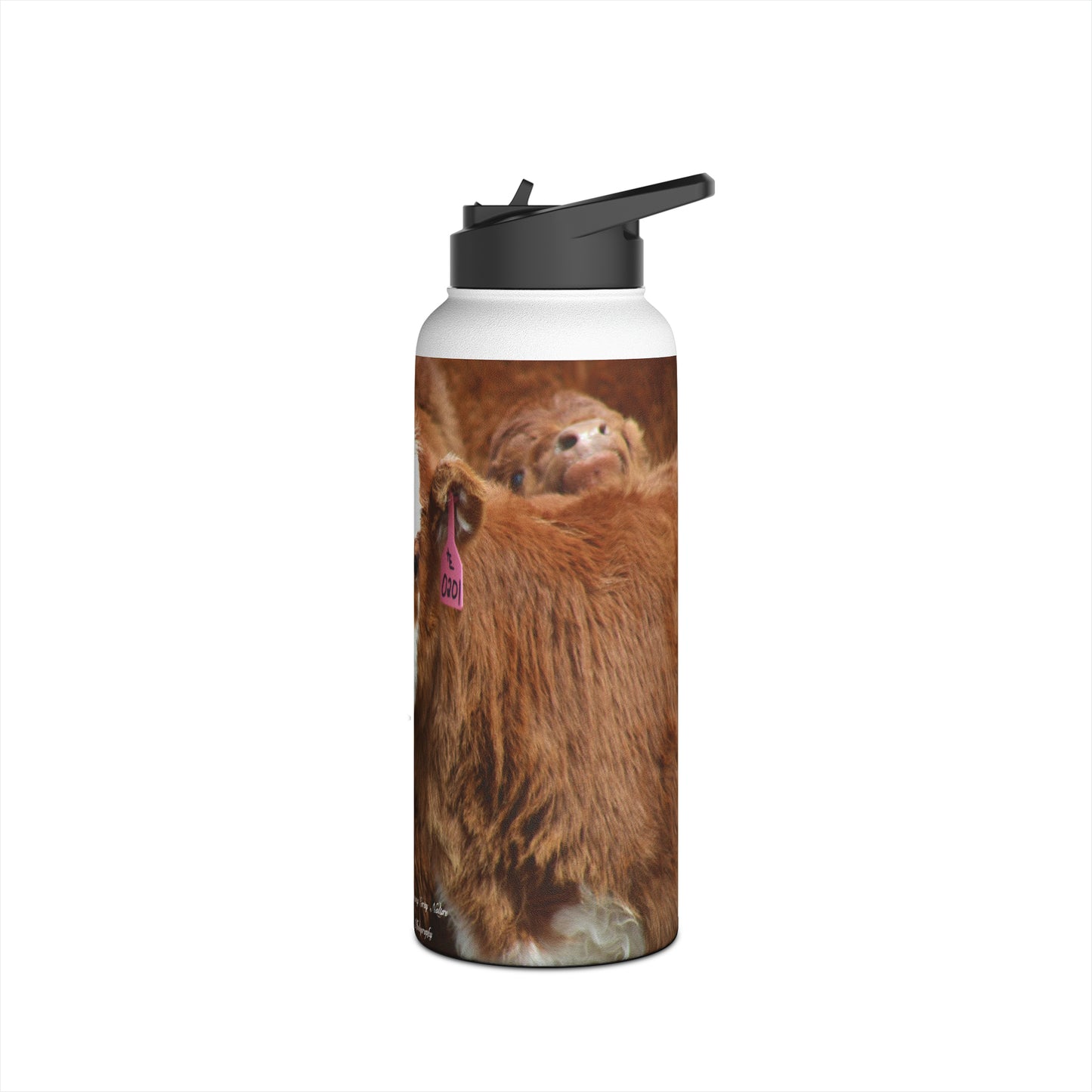 Red, White-Faced Stainless Steel Water Bottle, Standard Lid