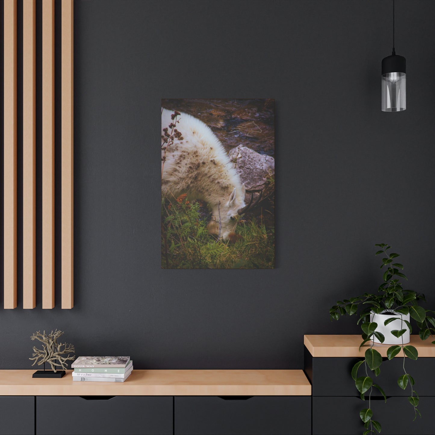 Mountain Goat Canvas