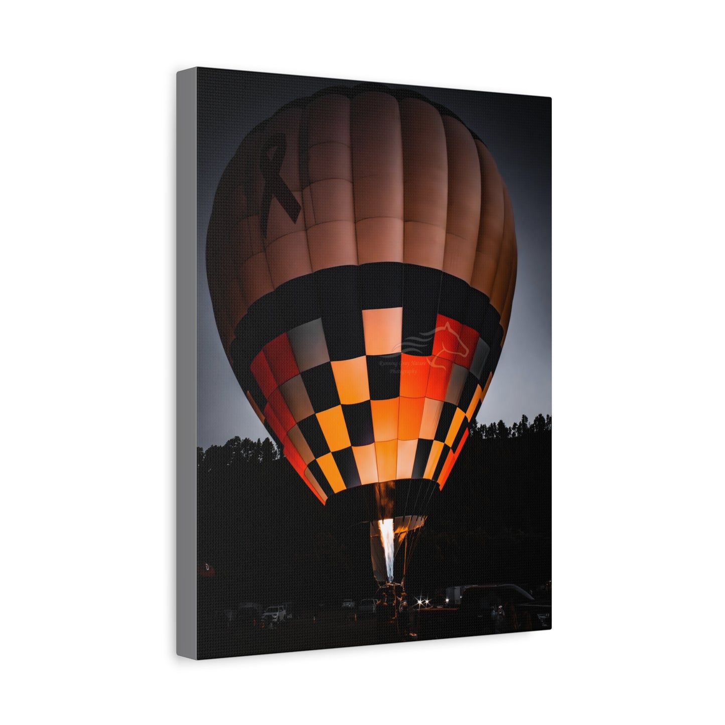 Hot Air Balloon Canvas