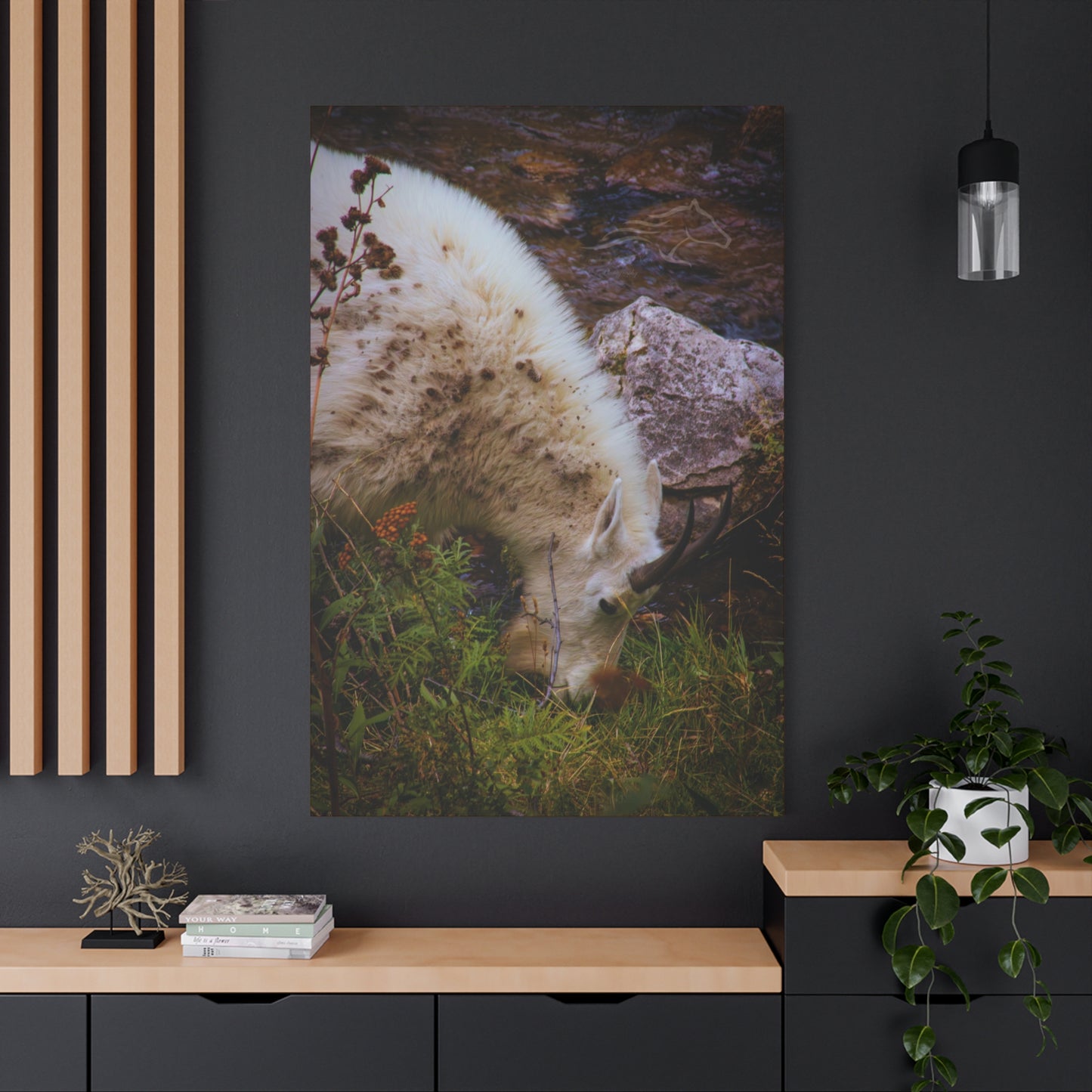 Mountain Goat Canvas