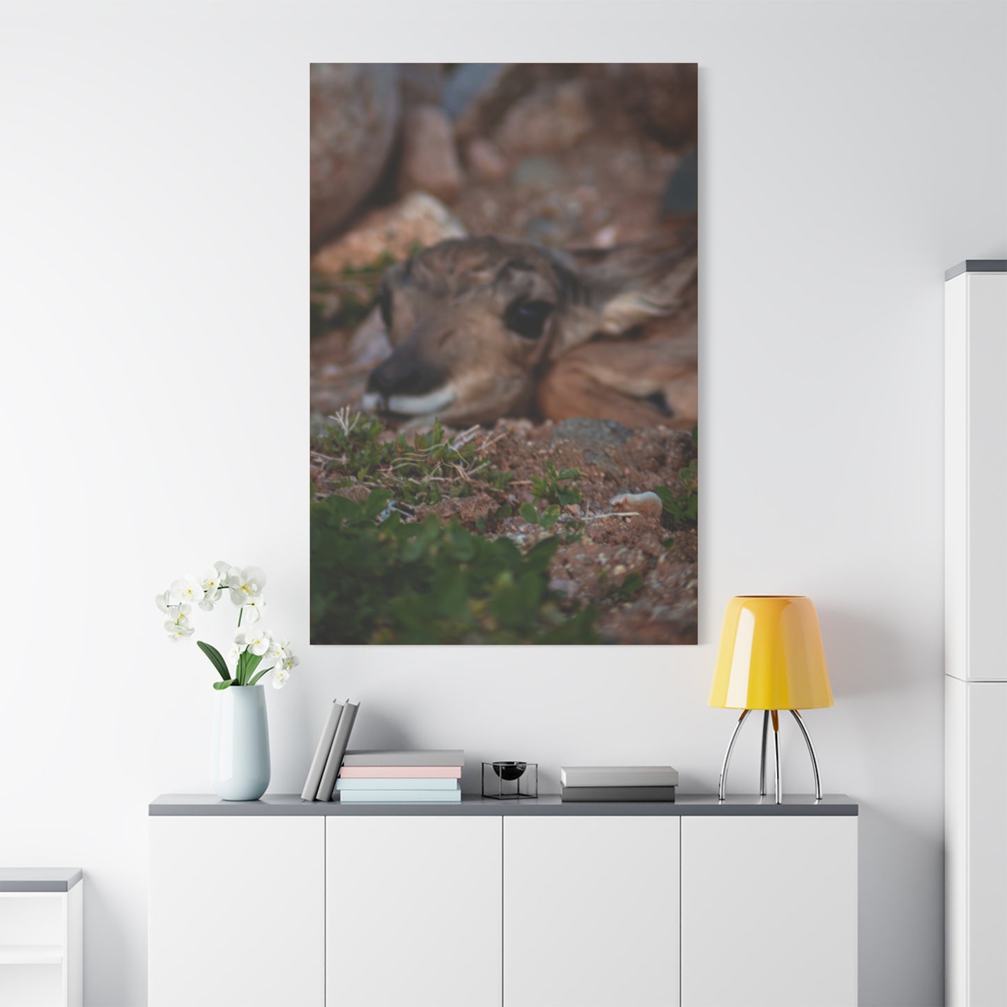Gentle Antelope Fawn Canvas