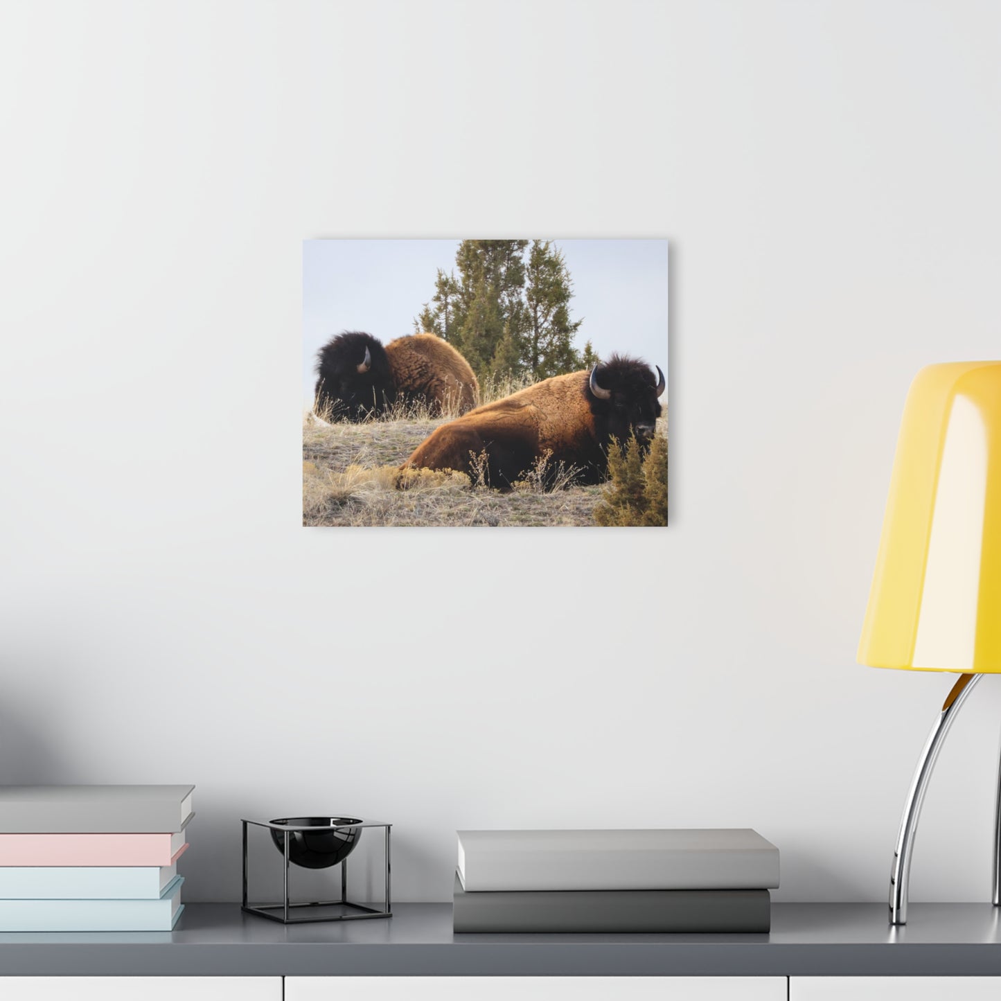 Two Bull Buffalo Acrylic